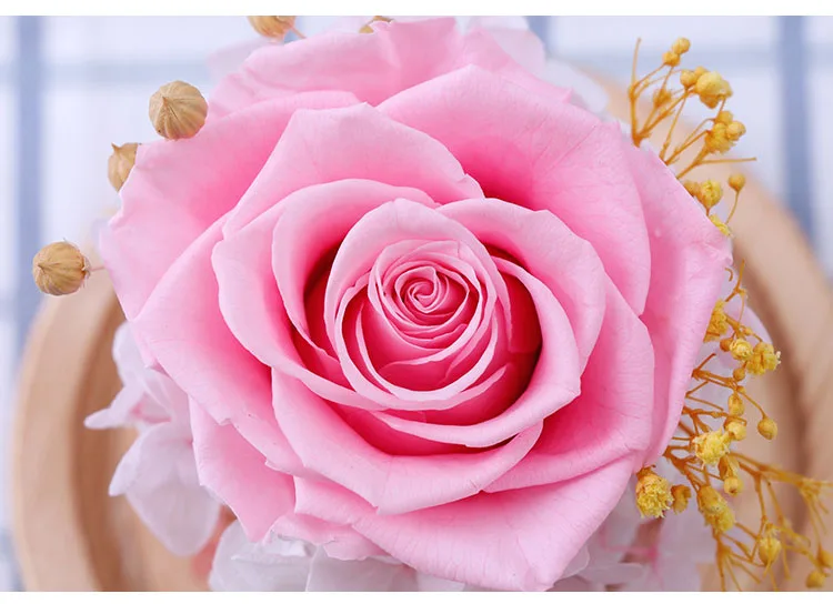 YO CHO сушеные цветы Роза этернель принц стеклянная крышка свежие сохраненные розы цветок в куполе для свадебного украшения подарок для жены
