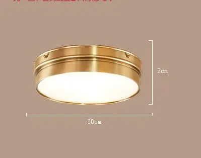 Ceiling Lustre Modern Mount Living 1
