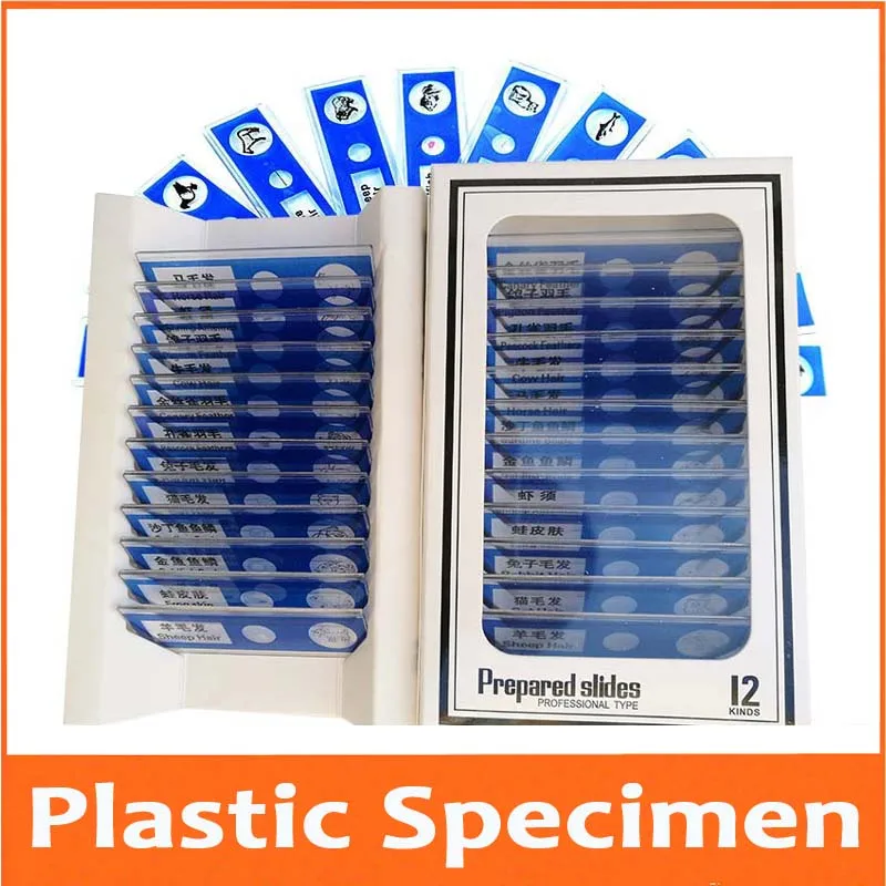 12pcs/Box Plastic Animal Educational Prepared Specimen Biological