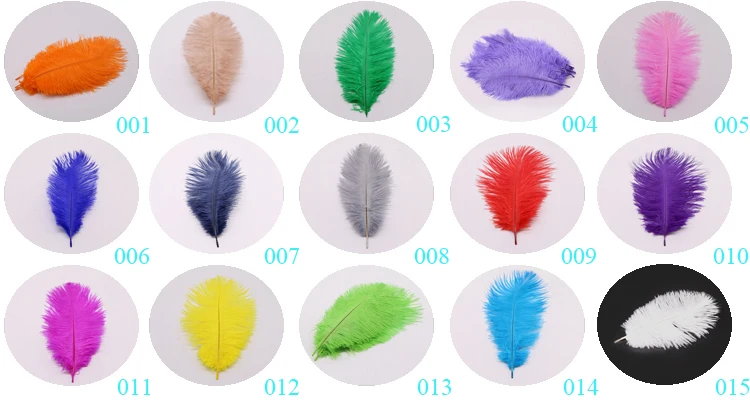 Ostrich Feathers