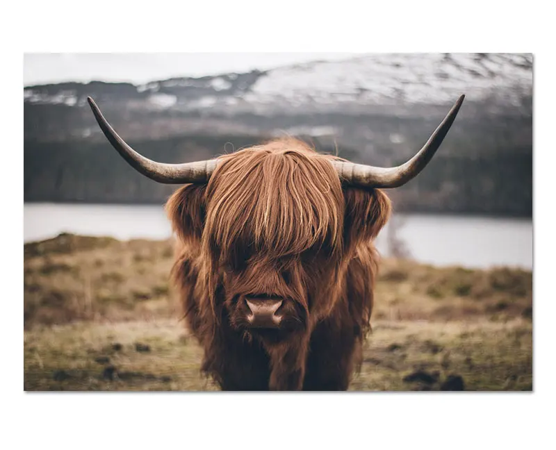 All-blue--800--new_02