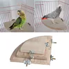 1Pc New Pet Bird Parrot Wood Platform Stand Rack Toy Hamster Branch Perches For Bird Cage Toys 3 Sizes Pet Supplies C42 1