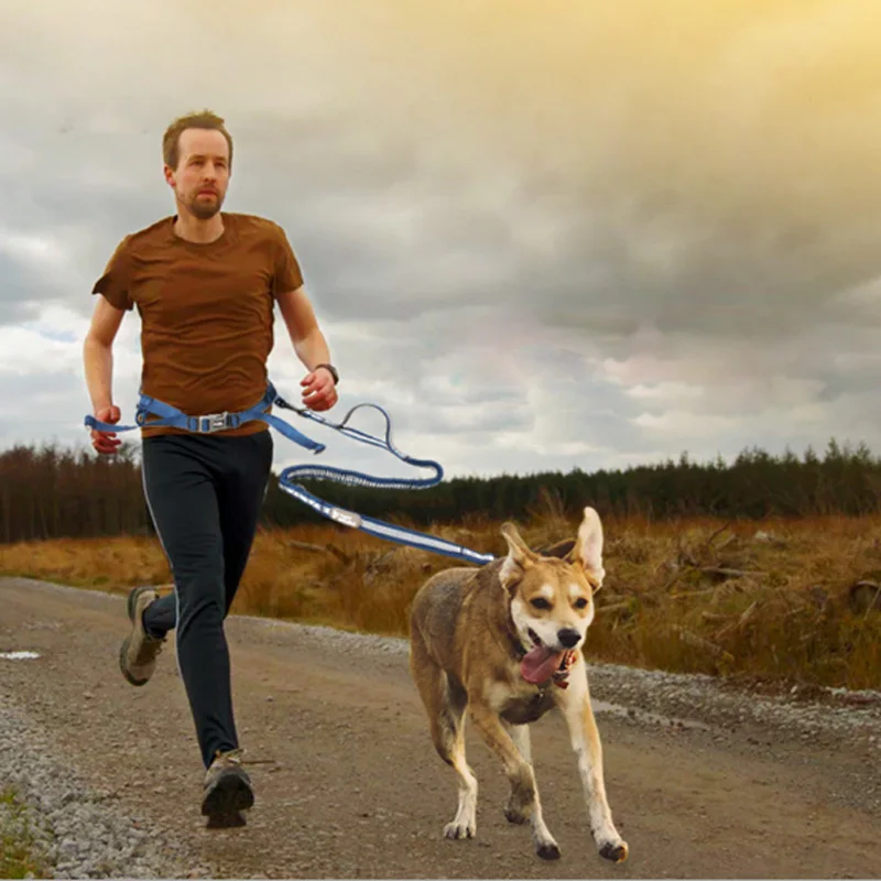 Beste TUFF HOUND Nylon Hond Huisdier Running Leash Explosieveilige Breakaway Elastische Intrekbare Running Walking Rijden Controle Leash Touw