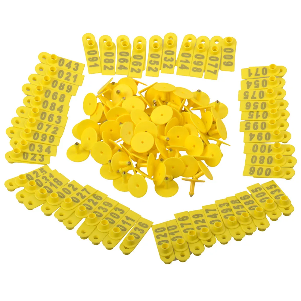 YW50-Yellow (1)