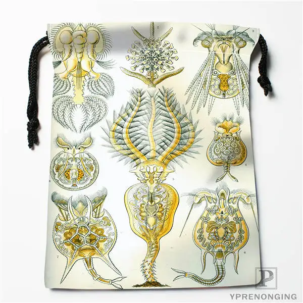 Изготовленные на заказ сумки Haeckel Narcomedusae на шнурке для путешествий, мини-сумка для плавания, походов, игрушек, размер 18x22 см#0412-04-25 - Цвет: Drawstring Bags