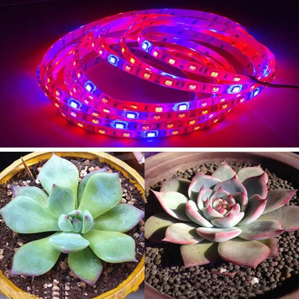Red and Blue Led Strip Light 220v RedBlue Universal Red and Blue Led Strip Light 220v RedBlue Universal