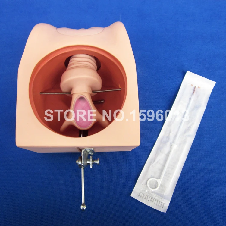 T33B contraception model (7)
