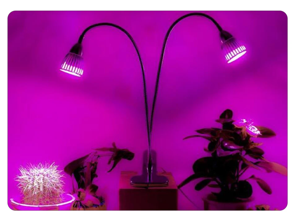 Lamp Base (12)