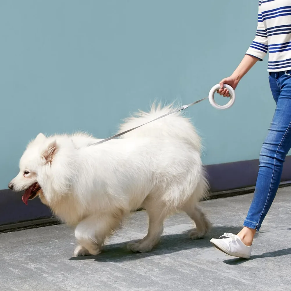  Xiaomi Moestar Retractable Dog Leash Ring Led Lighting Flexible Pet Collar Dog Puppy Traction Rope 