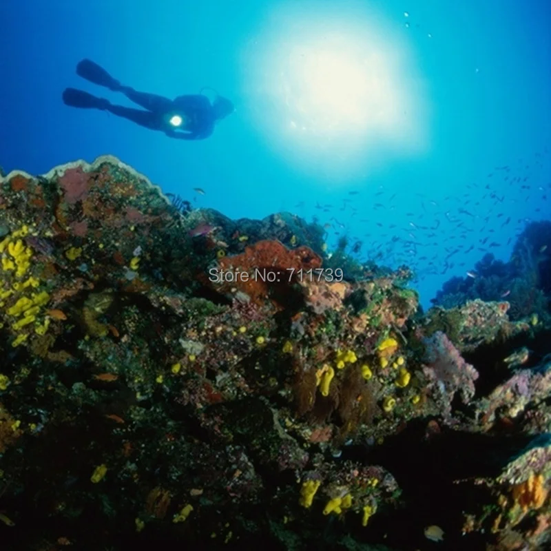 Diving lights  (3)