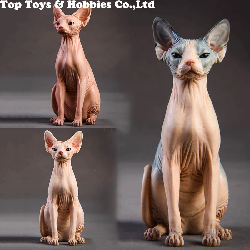 1/6 Resin Animal Model Jxk010 1/6 Canadian Hairless Sphynx cat 3 Colors Pet Animal F 12" Action figure soldier