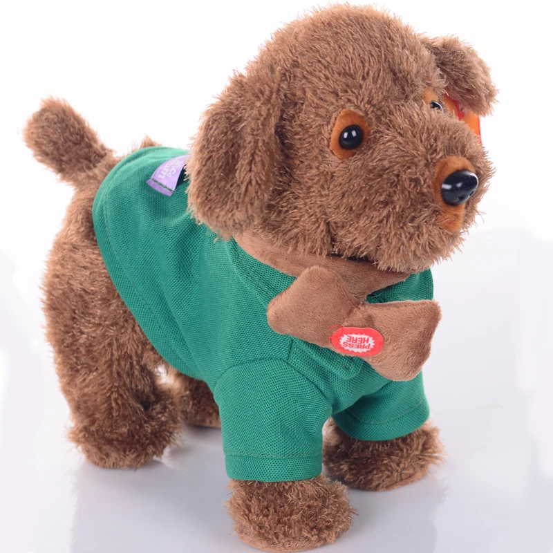 remote control dog leash