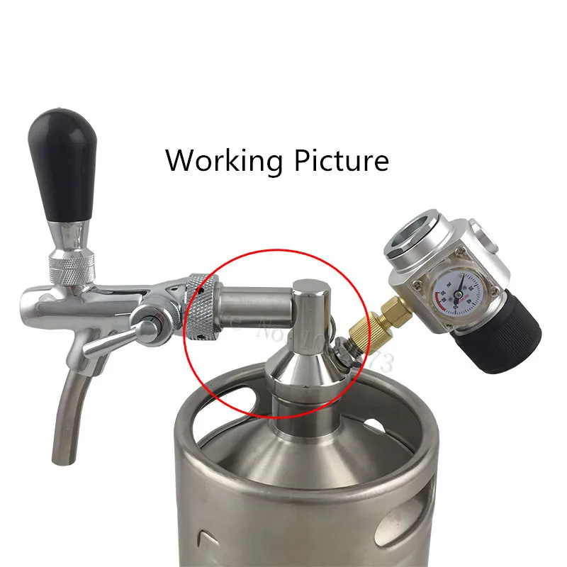 Stainless Steel Mini Beer Growler Spears  for Adjustable tap Faucet 2L 3.6L 5L Beer Keg growlers (7)