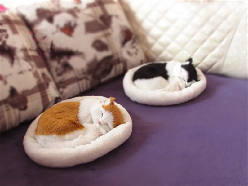 simulation cats (4)