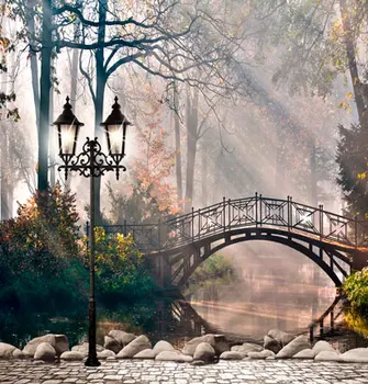 

5*6.5ft New coming small street little river backdrops backgrounds photography