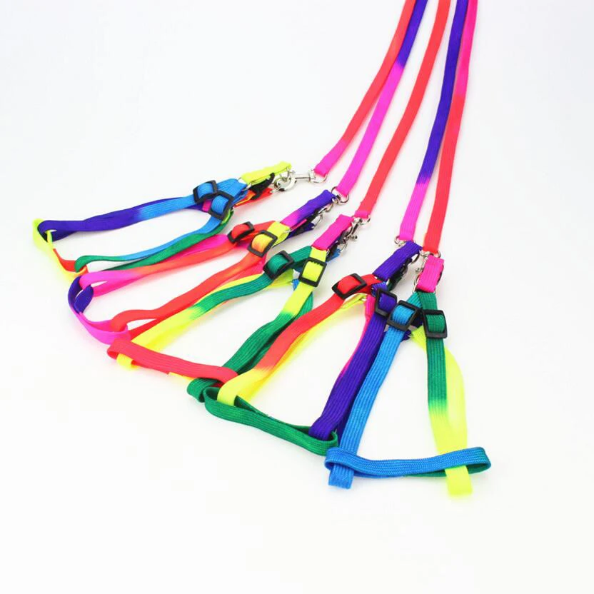 Colorful Rainbow Pet Dog Collar Harness Leash Soft Walking Harness Lead Colorful and Durable Traction Rope Nylon 120cm