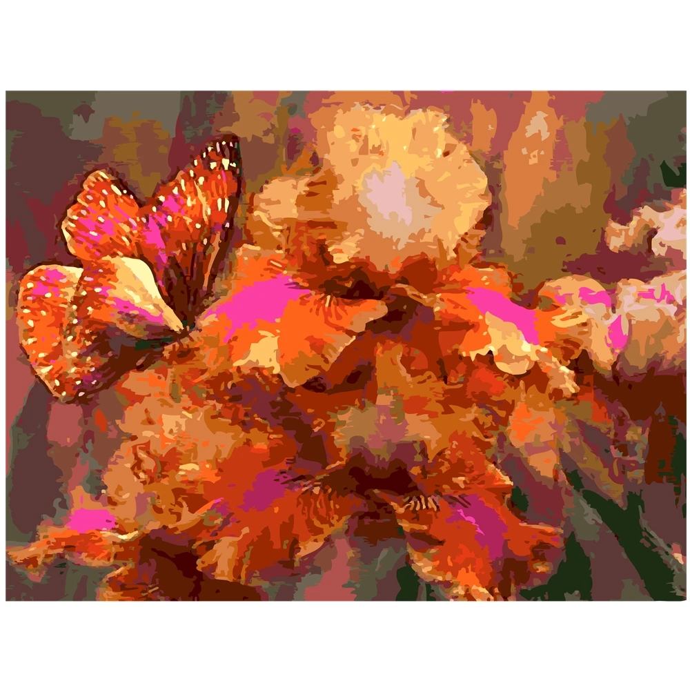 

DIY Butterfly Digital DIY Oil Painting By Number Unique Gift Drawing By Number Abstract Wall Art Picture Decoration szyh163