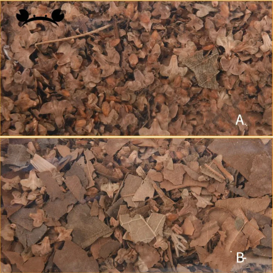 scale model leaves (6)