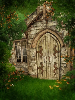 

Filming ArtFabric Photography Backdrop Digital Printed Wallpaper Customize Photo Backdrop Newborns Backgrounds Old House D-6279