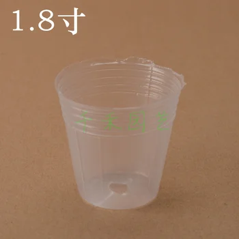 

Phalaenopsis / Dendrobium / nutritional bowl planted 1.8 inch transparent Nursery Cup