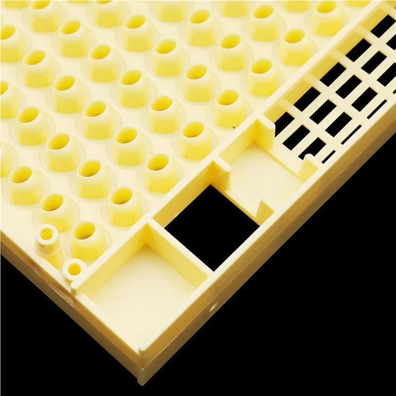 1 Pcs Plastic Bee Queen Box Queen Rearing Box Cultivate Bee Tool Beekeeping Tool Plastic Durable Does Not Harm