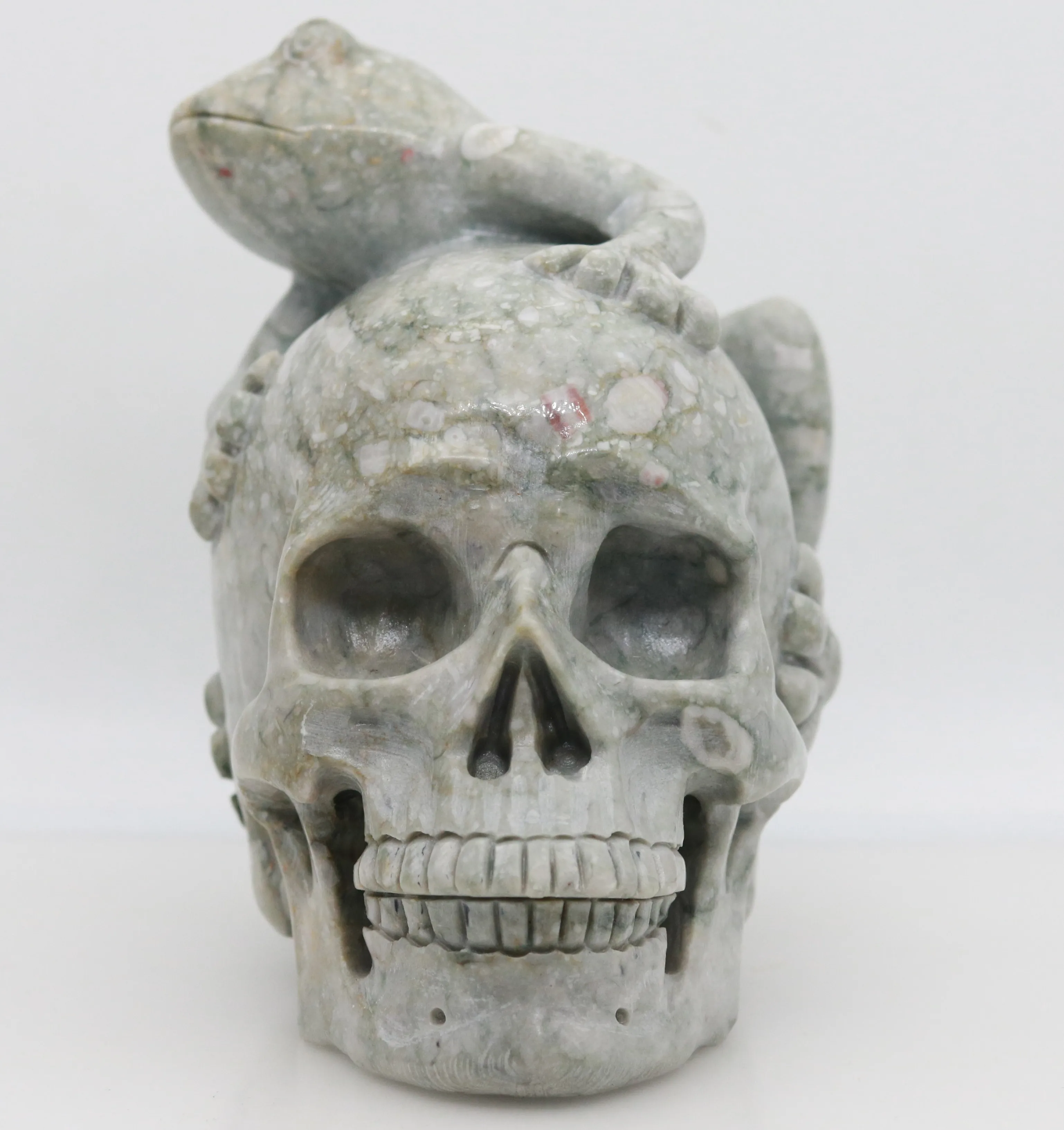 

6" 1782g,CRINOID JASPER Carved Frog Crystal Skull Crystal Realistic Crystal Healing Furnishing Articles Figurine AU13