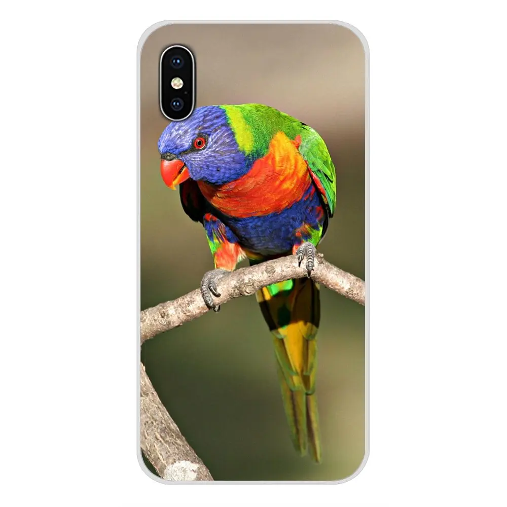 Аксессуары чехлы для телефонов Чехлы Apple iPhone X XR XS MAX 4 4S 5 5S 5C SE 6 6S 7 8 Plus ipod touch