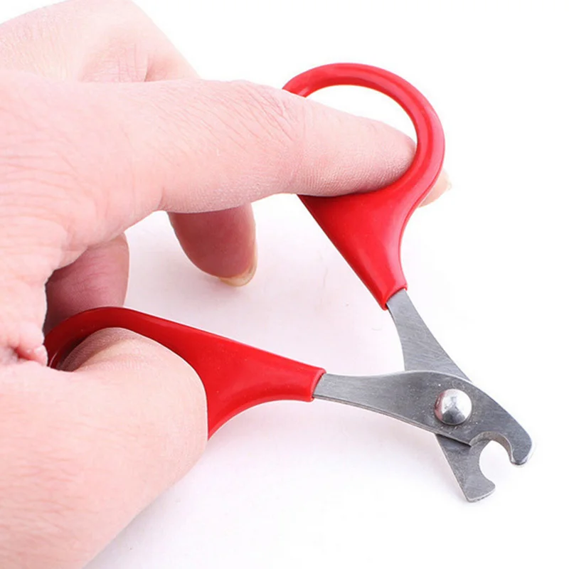8cm font b Pet b font product red small dogs with font b pet b font