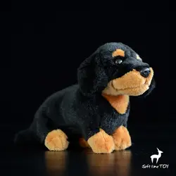 Kawaii такса куклы детские игрушки подарок на день рождения Моделирования собака плюшевые игрушки животных