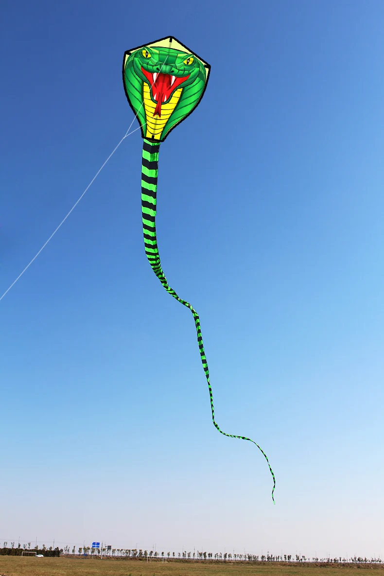 Snake Kite for Kids And Adults Come With String And Handle