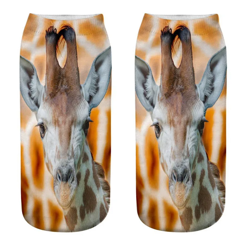 10364722520_520631427