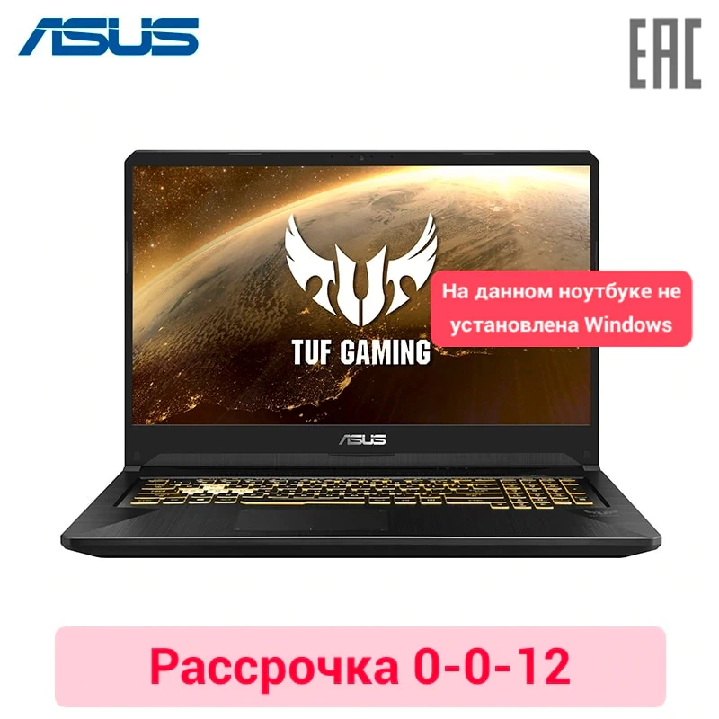 Игровой ноутбук Asus TUF FX765GD 17.3&quot/i5 8300H/8ГБ/256ГБ SSD/No ODD/GTX1050 2ГБ/No OS/Черный (90NR0112-M03950) |