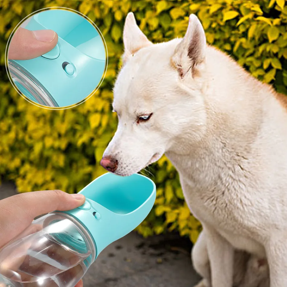 cat dog bottle