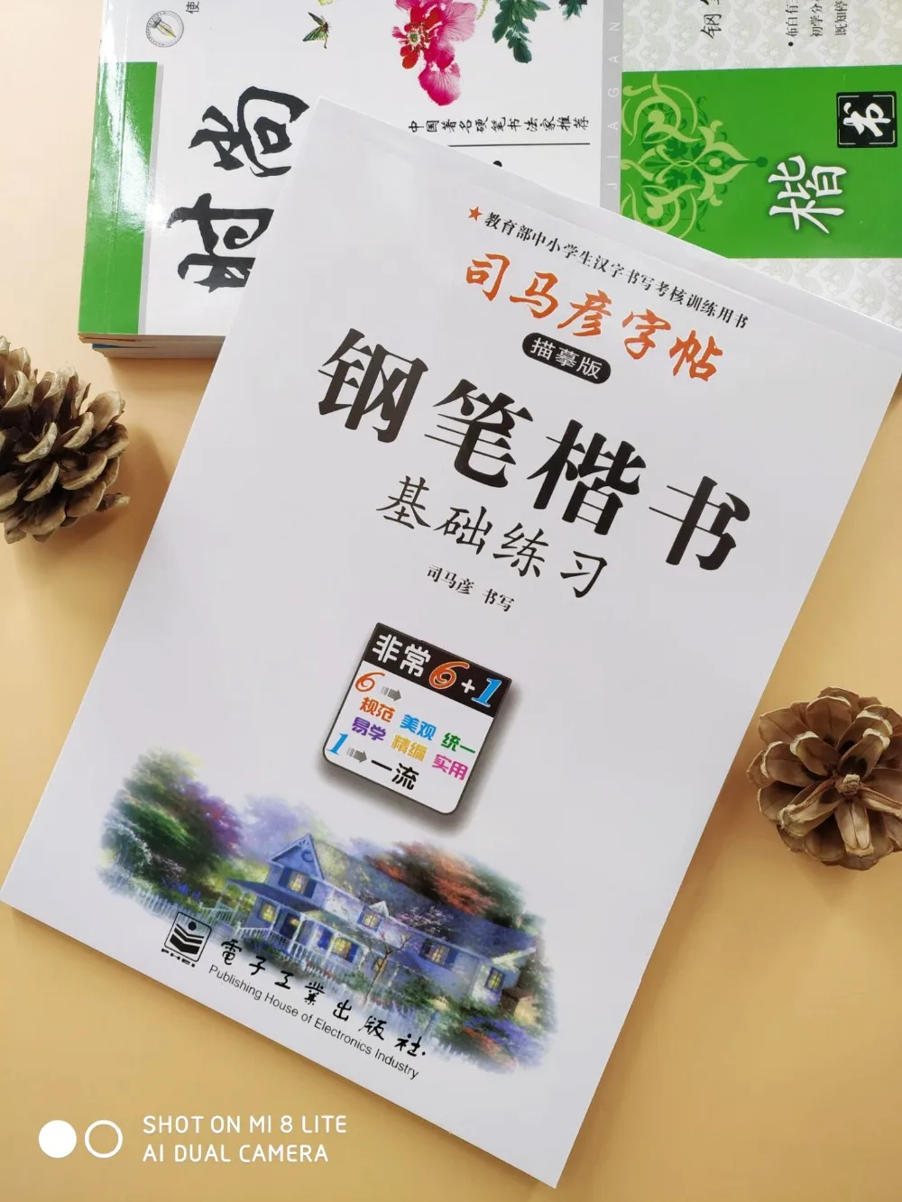 

Chinese character copybook :learn how to write Chinese characters regular script pen pencil hanzi exercise book by Simayan