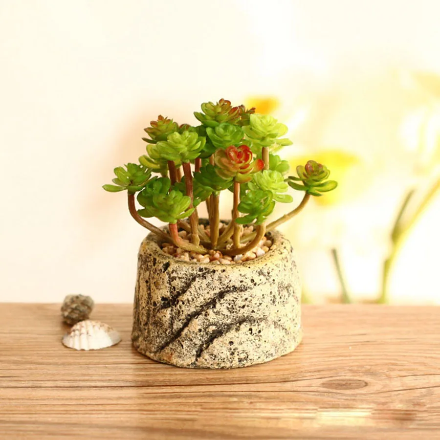 2134135692_903797544