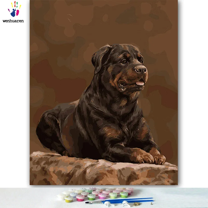 DIY цветные картинки по номерам с цветами Прекрасный черный Рисунок собаки Рисование Живопись по номерам в рамке - Цвет: 9880