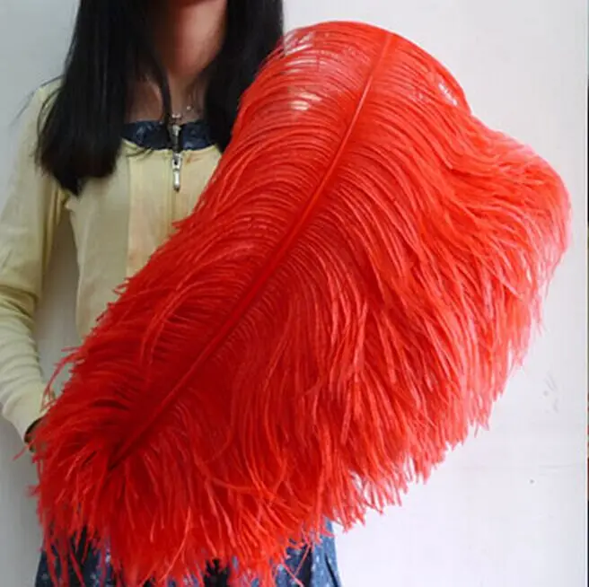 sale 10pc quality light red ostrich feathers, 26 28inches / 65 70cm