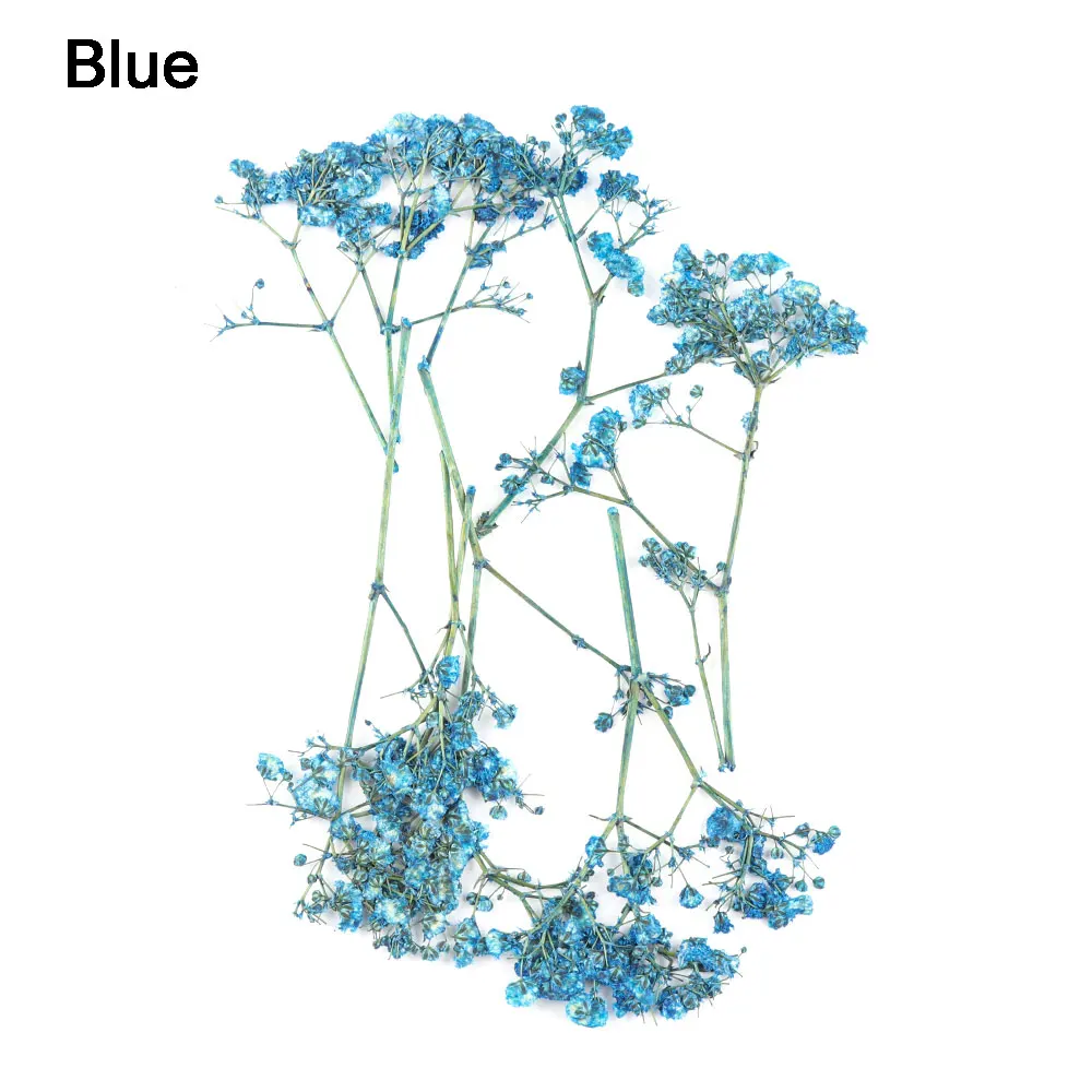 10 шт./пакет смешанные Цвет 3D настоящие сушеные звездное небо, украшенное цветами, для УФ гель для ногтей Советы Инструменты сделай-сам Для женщин моды - Цвет: Синий