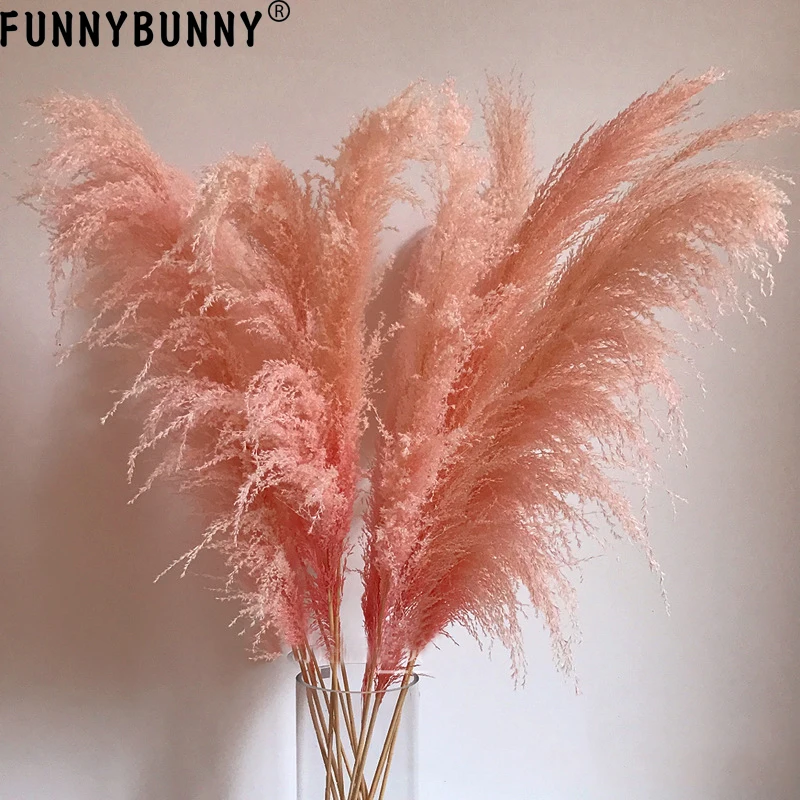FUNNYBUNNY 1 шт. розовый тростниковый тростник сушеный цветок шипы сушеные цветы