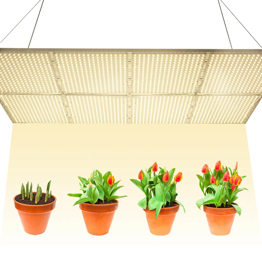 

Samsung LM301B quantum board led grow lm301b 480w 240w 960w led full spectrum grow light for greenhouse plants