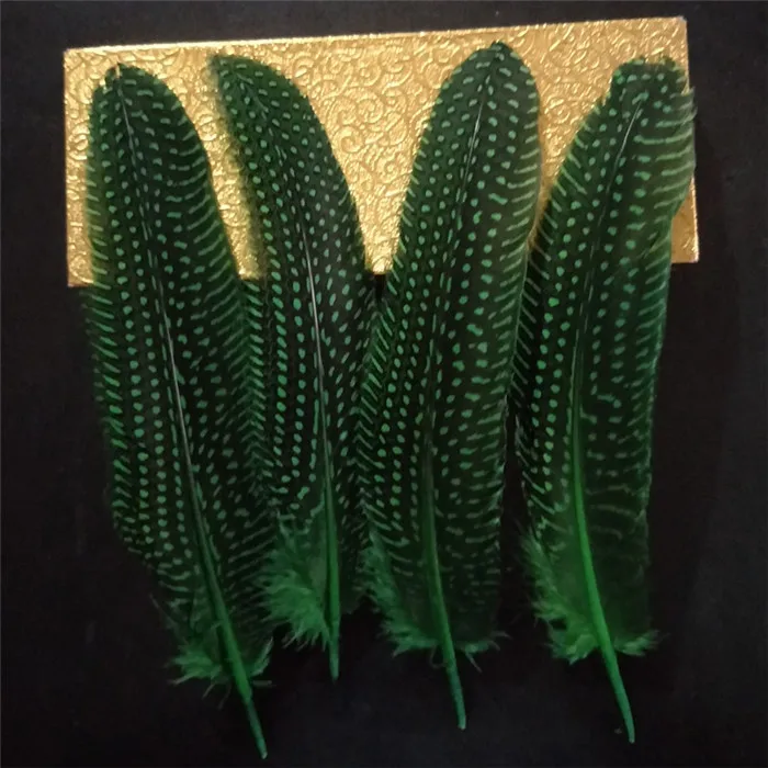 pearl pheasant feathers 1 (1)