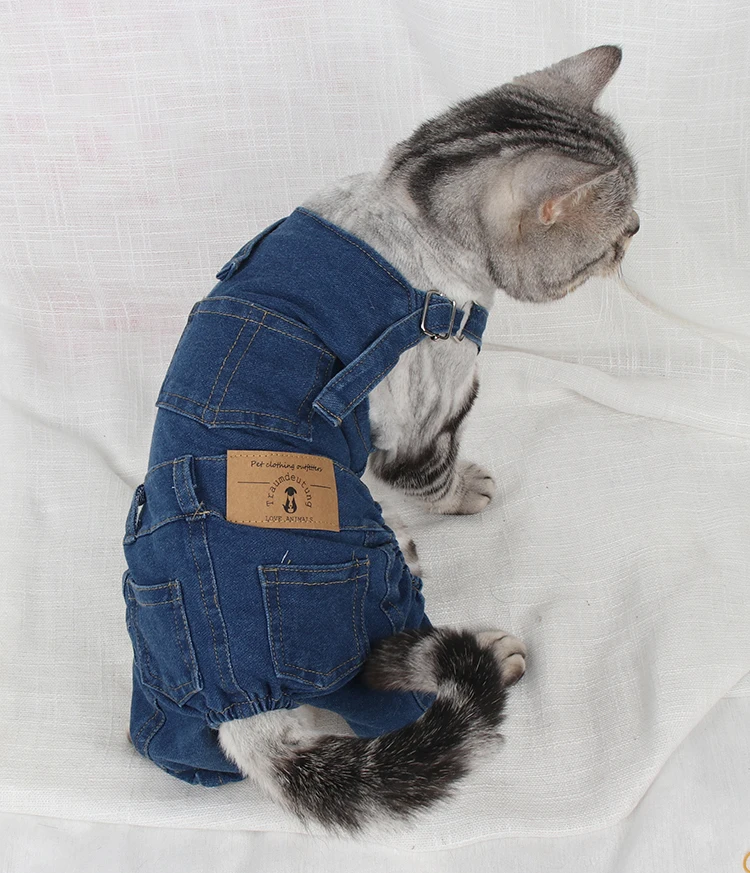 Маленькая одежда для кошек, джинсовый костюм, одежда для котенка, одежда для домашних животных, одежда для собак, кошек, одежда для каттена, kleding chien vetement