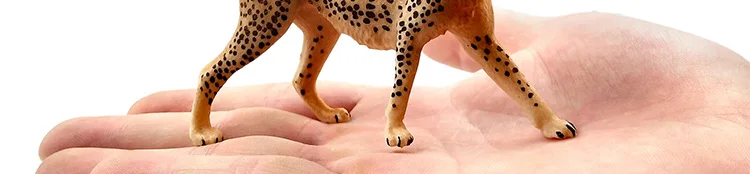 -2---DW-M-LP462-480_02