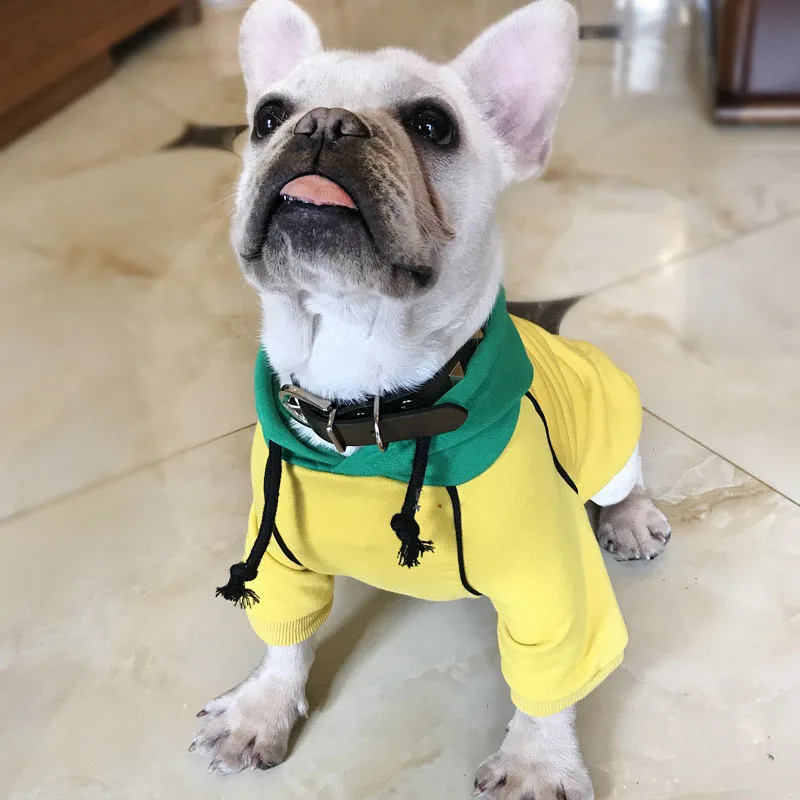 HSWLL прилив бренд pet Одежда Весна и осень кошка собака круглый воротник Повседневная
