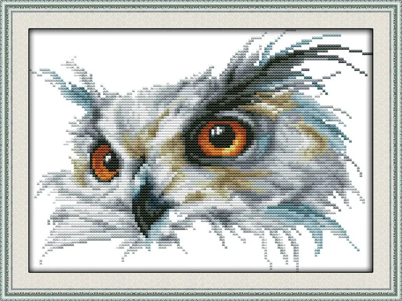 

Owl Printed on Canvas DMC Counted Chinese Cross Stitch Kits printed Cross-stitch set Embroidery Needlework