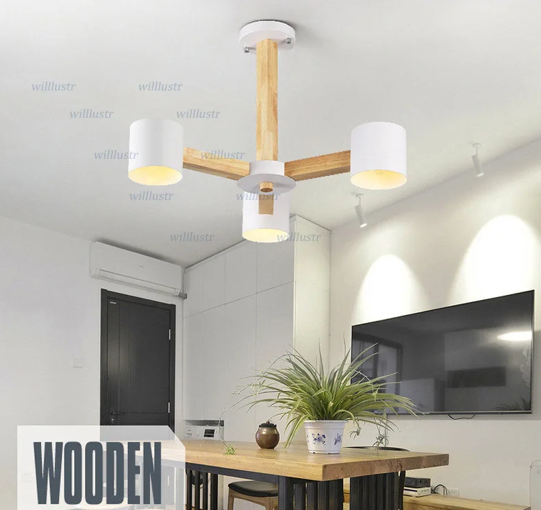 ceiling light (10)