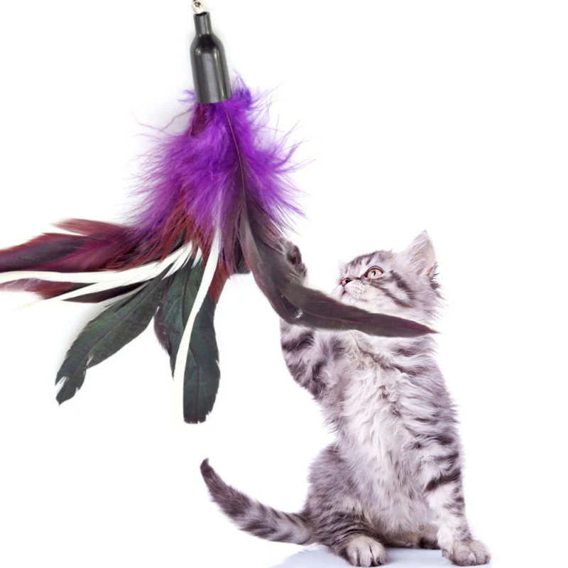 

6pcs /Set Cat Feathers Toys Kitten Fun Replacement Plus Soft Furry Tail For Interactive Cat and Kitten Toy Pet Supplies