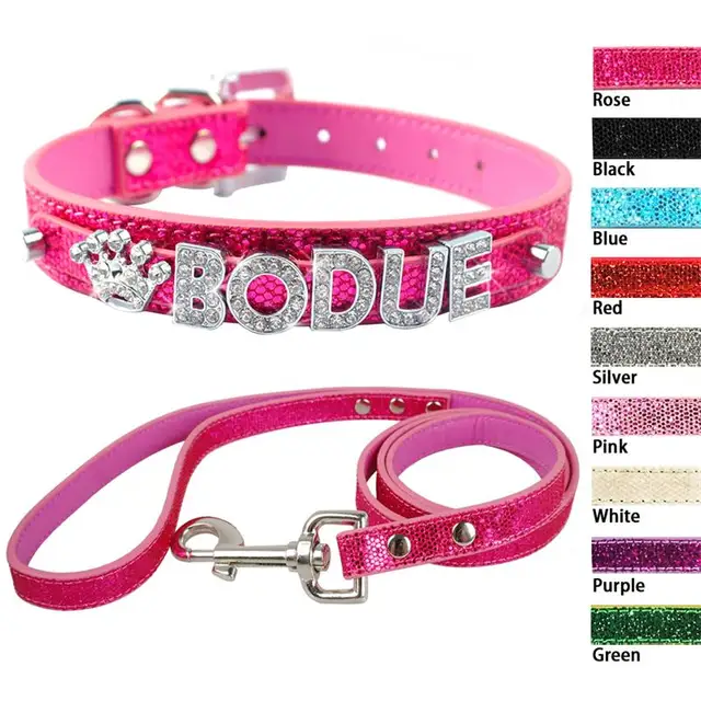 personalized small puppy dog collar and leash set free customized