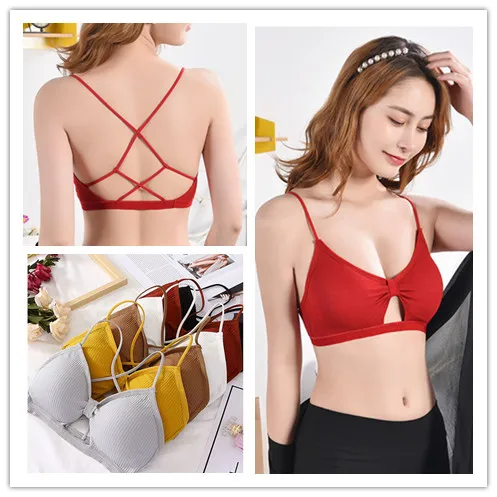 

6 Colors Girl's Sexy Beach Short Tube Tops Seamless Beauty Back Design Detachable Chest Pad Bra Solid Color Women's Underwear