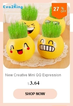 dianxiaobao
